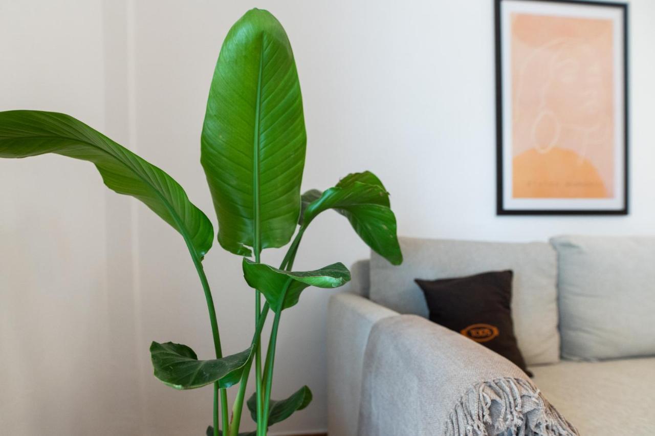 Flat 126 Apartment Александруполис Екстериор снимка